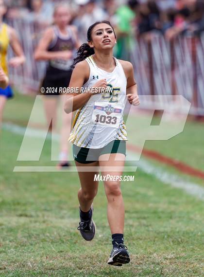 Thumbnail 1 in UIL Cross Country 1A Finals (3200m) photogallery.