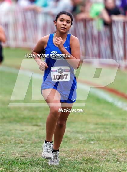 Thumbnail 3 in UIL Cross Country 1A Finals (3200m) photogallery.