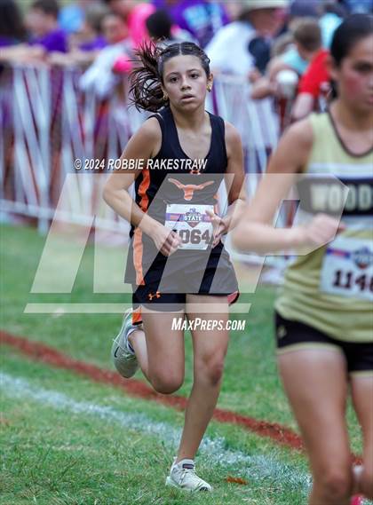 Thumbnail 2 in UIL Cross Country 1A Finals (3200m) photogallery.