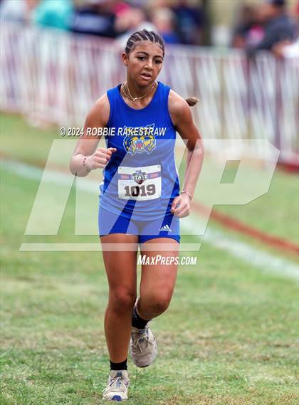 Thumbnail 3 in UIL Cross Country 1A Finals (3200m) photogallery.