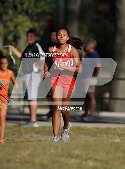 Thumbnail 2 in Benton Fall Run photogallery.