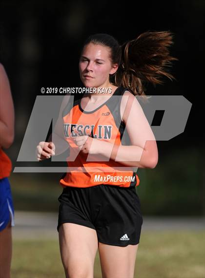 Thumbnail 3 in Benton Fall Run photogallery.