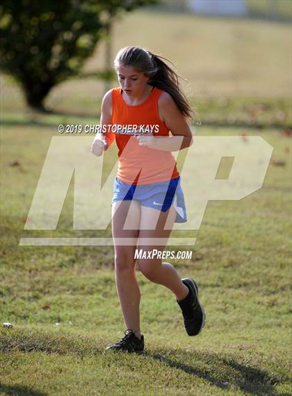 Thumbnail 1 in Benton Fall Run photogallery.