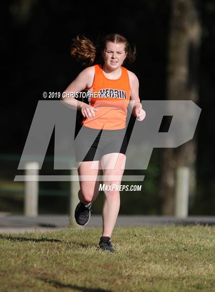 Thumbnail 3 in Benton Fall Run photogallery.