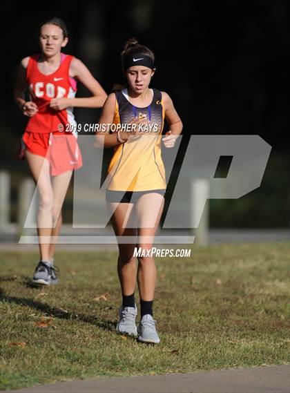 Thumbnail 1 in Benton Fall Run photogallery.