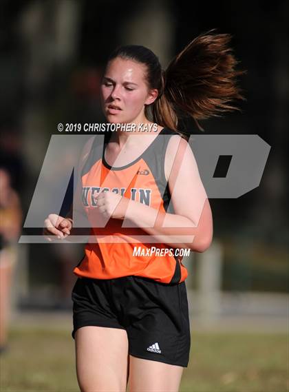 Thumbnail 1 in Benton Fall Run photogallery.