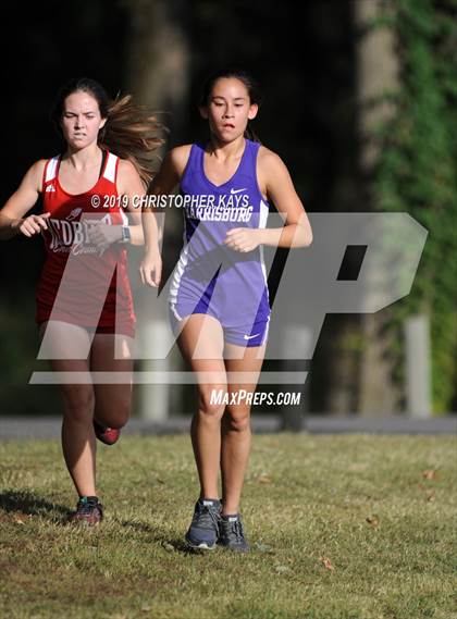 Thumbnail 2 in Benton Fall Run photogallery.