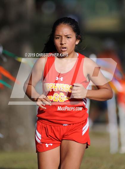 Thumbnail 3 in Benton Fall Run photogallery.