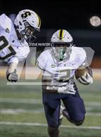Photo from the gallery "Saguaro @ Chaparral"