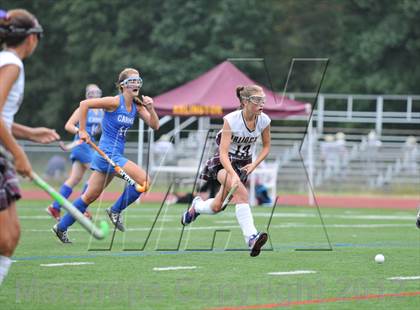 Thumbnail 3 in Arlington vs Carmel photogallery.