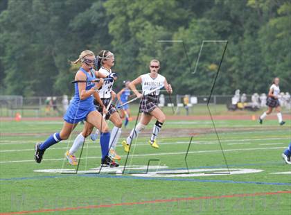 Thumbnail 1 in Arlington vs Carmel photogallery.