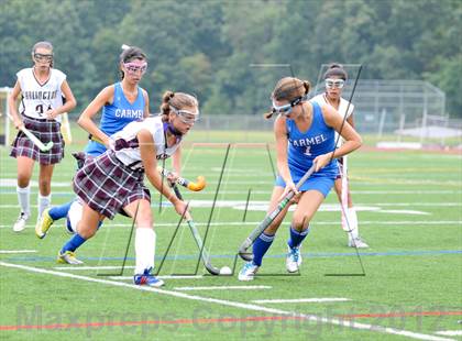 Thumbnail 2 in Arlington vs Carmel photogallery.