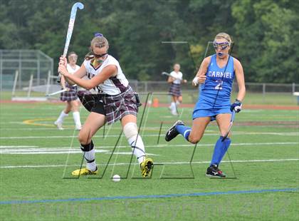 Thumbnail 1 in Arlington vs Carmel photogallery.