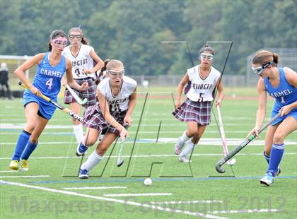 Thumbnail 1 in Arlington vs Carmel photogallery.