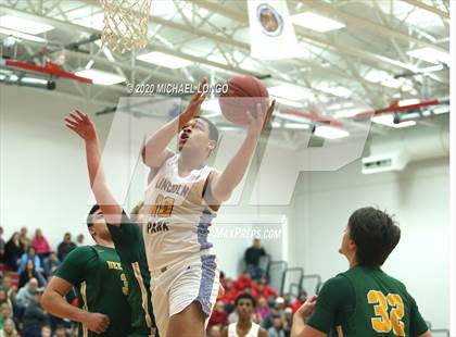 Thumbnail 1 in Deer Lakes vs. Lincoln Park Performing Arts (WPIAL 3A Playoff) photogallery.
