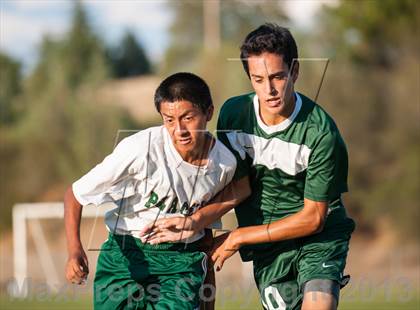 Thumbnail 1 in Ponderosa @ Placer photogallery.