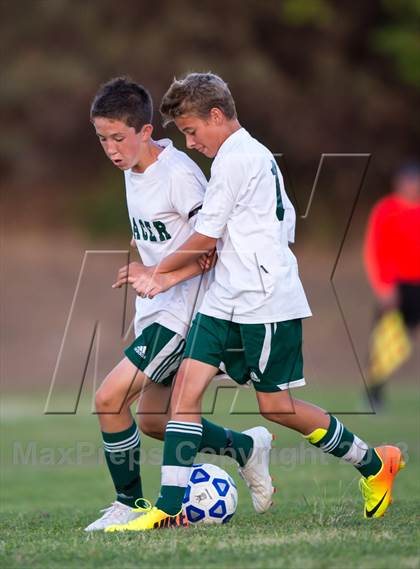 Thumbnail 3 in Ponderosa @ Placer photogallery.