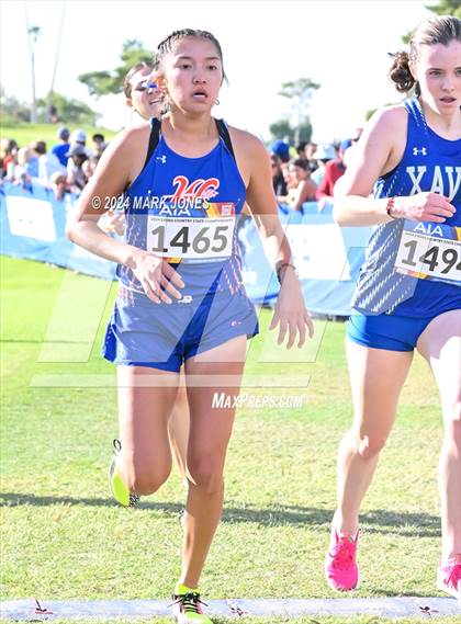 Thumbnail 1 in AIA Division I Championships photogallery.