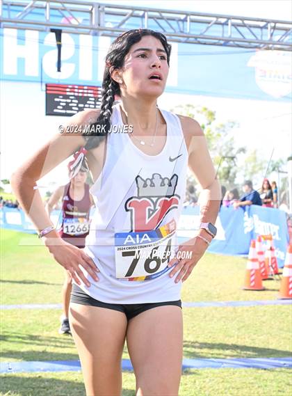 Thumbnail 2 in AIA Division I Championships photogallery.