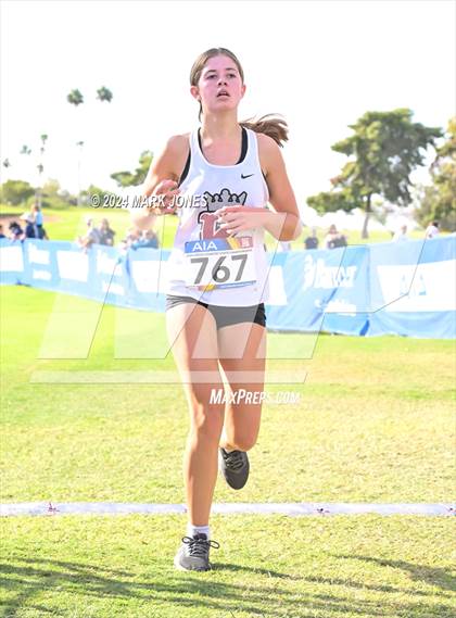 Thumbnail 2 in AIA Division I Championships photogallery.