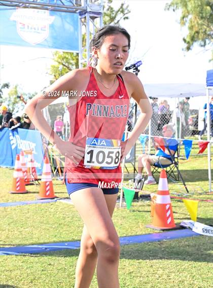Thumbnail 2 in AIA Division I Championships photogallery.