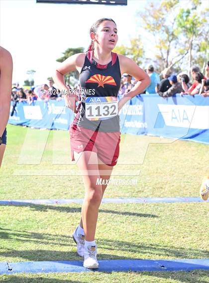 Thumbnail 1 in AIA Division I Championships photogallery.