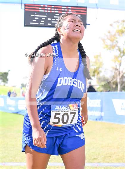 Thumbnail 3 in AIA Division I Championships photogallery.