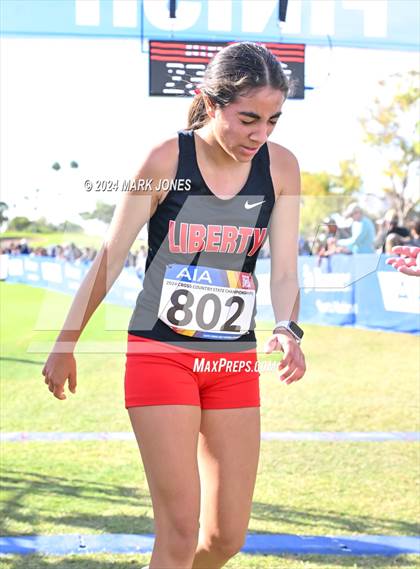 Thumbnail 3 in AIA Division I Championships photogallery.