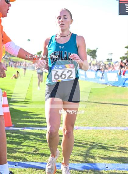 Thumbnail 1 in AIA Division I Championships photogallery.