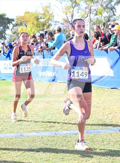 Thumbnail 3 in AIA Division I Championships photogallery.