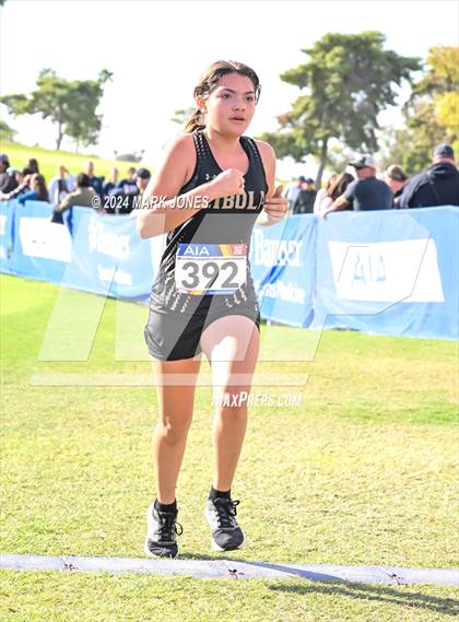 Thumbnail 2 in AIA Division I Championships photogallery.