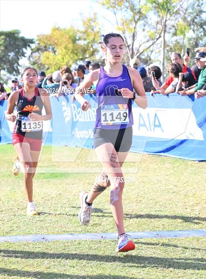 Thumbnail 1 in AIA Division I Championships photogallery.