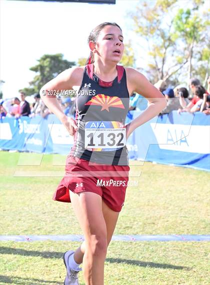 Thumbnail 3 in AIA Division I Championships photogallery.