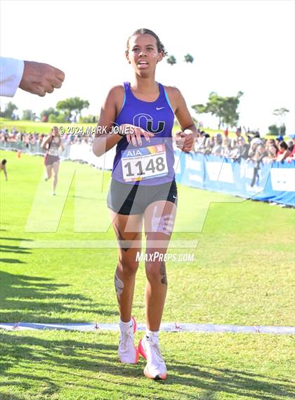 Thumbnail 3 in AIA Division I Championships photogallery.