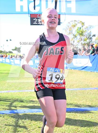 Thumbnail 2 in AIA Division I Championships photogallery.