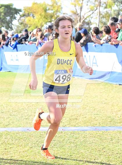 Thumbnail 1 in AIA Division I Championships photogallery.