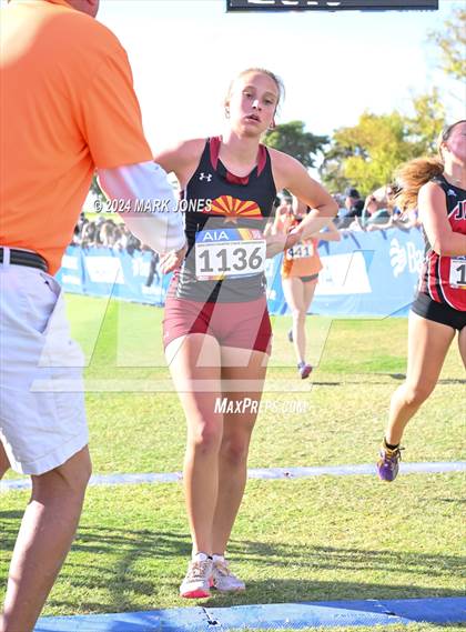 Thumbnail 3 in AIA Division I Championships photogallery.