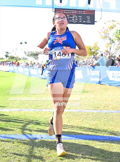 Thumbnail 1 in AIA Division I Championships photogallery.