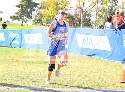 Thumbnail 1 in AIA Division I Championships photogallery.