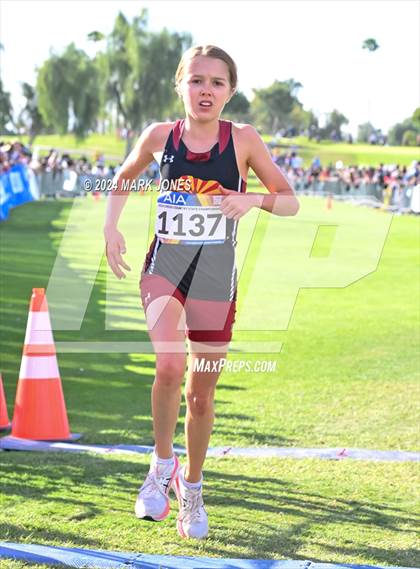 Thumbnail 2 in AIA Division I Championships photogallery.