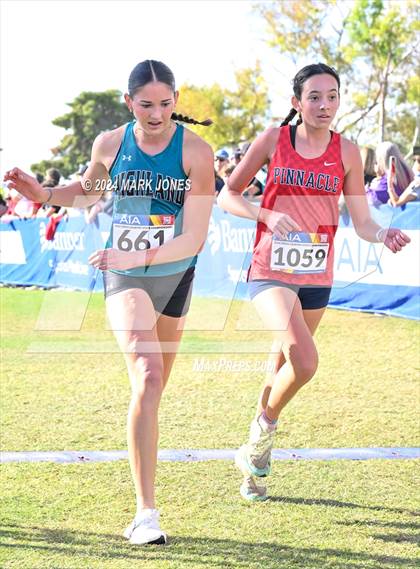 Thumbnail 3 in AIA Division I Championships photogallery.