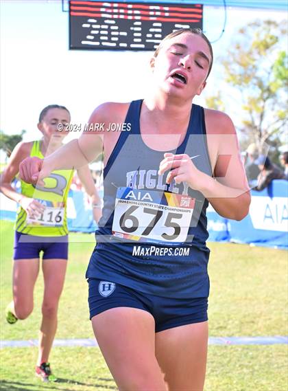 Thumbnail 1 in AIA Division I Championships photogallery.