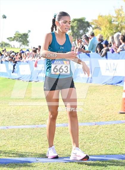 Thumbnail 3 in AIA Division I Championships photogallery.
