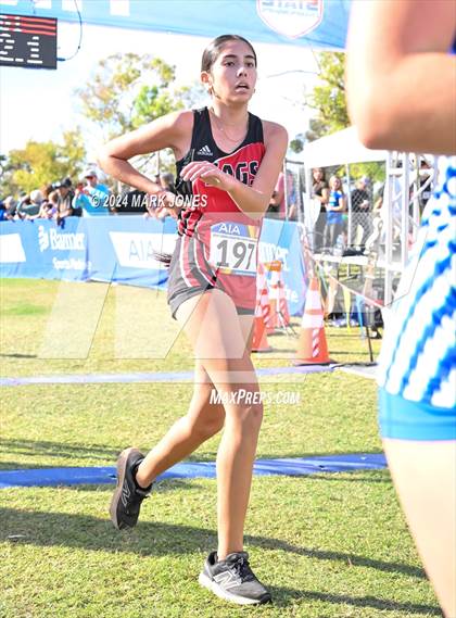 Thumbnail 1 in AIA Division I Championships photogallery.