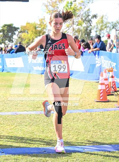Thumbnail 1 in AIA Division I Championships photogallery.
