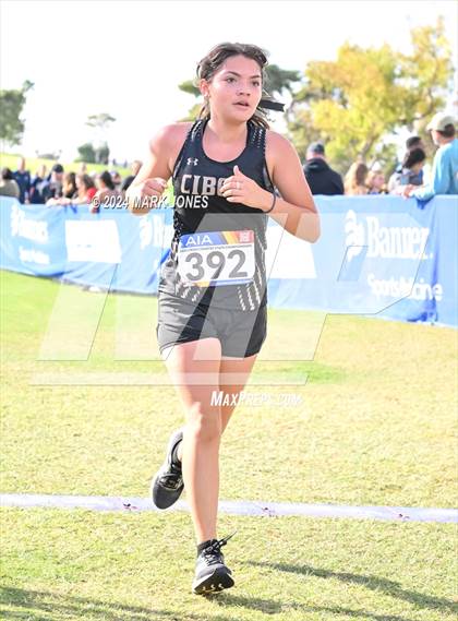 Thumbnail 3 in AIA Division I Championships photogallery.