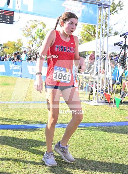 Thumbnail 1 in AIA Division I Championships photogallery.