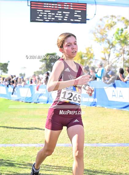 Thumbnail 2 in AIA Division I Championships photogallery.