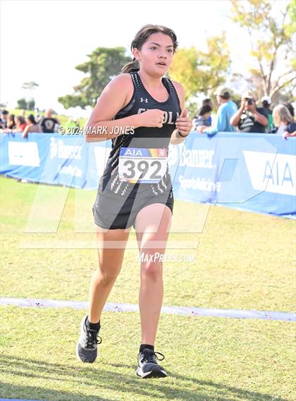 Thumbnail 1 in AIA Division I Championships photogallery.
