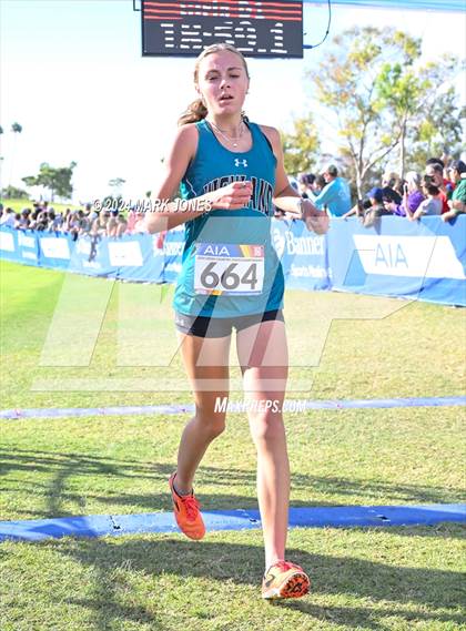 Thumbnail 3 in AIA Division I Championships photogallery.